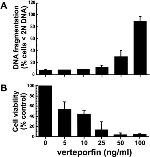 Fig. 1. HL-60 cells treated with verteporfin and red light exhibit a drug dose-dependent increase in DNA fragmentation levels and a loss in viability. / Cells were incubated with different concentrations of verteporfin for 60 minutes at 37° C, exposed to red fluorescent light (2 J/cm2), and returned to the incubator. (A) The percentage of cells exhibiting DNA fragmentation at 3 hours after treatment was determined by PI staining and flow cytometric analysis (3 independent experiments). (B) Cell survival was assessed by the MTT colorimetric assay 24 hours after PDT. Results are given as a percentage of the absorbance value obtained with cells treated with light alone. MTT values for cells treated with light alone (100% viability) corresponded to a mean absorbance of 0.712 ± 0.215 above background values (3 independent experiments). Means with standard deviations are given.