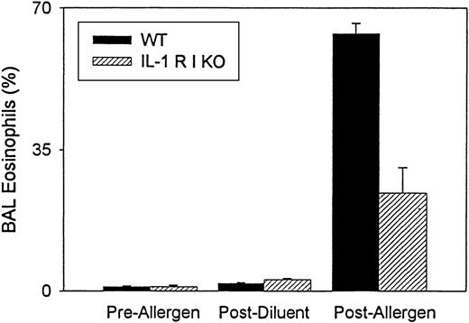 Fig. 1. Quantitative analysis of bronchoalveolar lavage eosinophils in IL-1 R type 1-deficient mice. / The number of eosinophils in bronchoalveolar lavage (BAL) fluid was enumerated before and after allergen challenge and after diluent challenge in wild-type (WT) and IL-1 R type 1-deficient (IL-1 R I KO) mice. Results are expressed as the percentage of eosinophils in BAL fluid (n = 3 experiments). There was a significant inhibition of BAL eosinophilia in IL-1 R type 1-deficient mice after allergen challenge compared with wild-type mice after allergen challenge (P = .001).