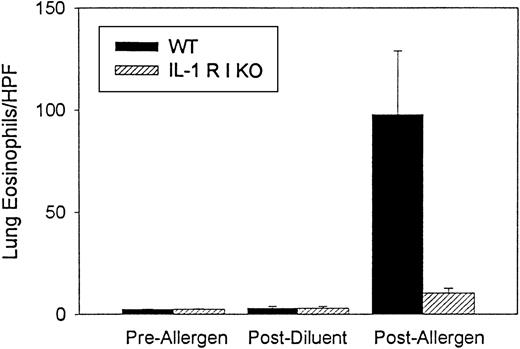 Fig. 2. Quantitative analysis of lung eosinophils in IL-1 R type 1-deficient mice. / The number of eosinophils in cryosections of lung tissue was enumerated before and after allergen challenge and after diluent challenge in wild-type and IL-1 R type 1-deficient mice using a method to detect the presence of eosinophil peroxidase. Results are expressed as the number of lung eosinophils (expressed as eosinophils/hpf lung tissue) (n = 3 experiments). There was a significant inhibition of lung eosinophilia in IL-1 R type 1-deficient mice after allergen challenge compared with wild-type mice after allergen challenge (P = .01).