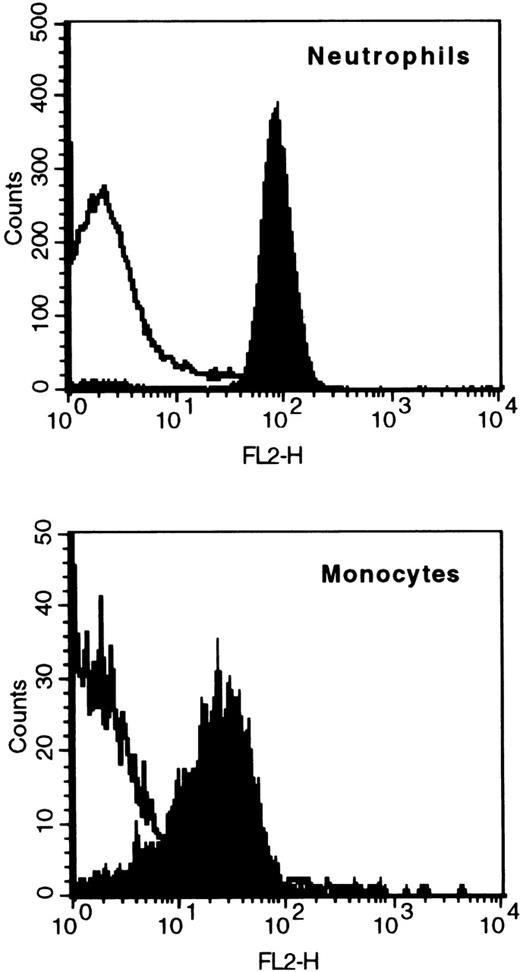 Fig. 2. Binding of fluorescent G-CSF to neutrophils and monocytes. / Whole blood was stained with fluorescent G-CSF (G-CSF-PE, indicated by black shading) or an unspecific staining control (Streptavidin-PE, no black shading). The populations of neutrophils or monocytes were gated by counterstaining with anti-CD14-FITC and anti-CD45-PerCP.