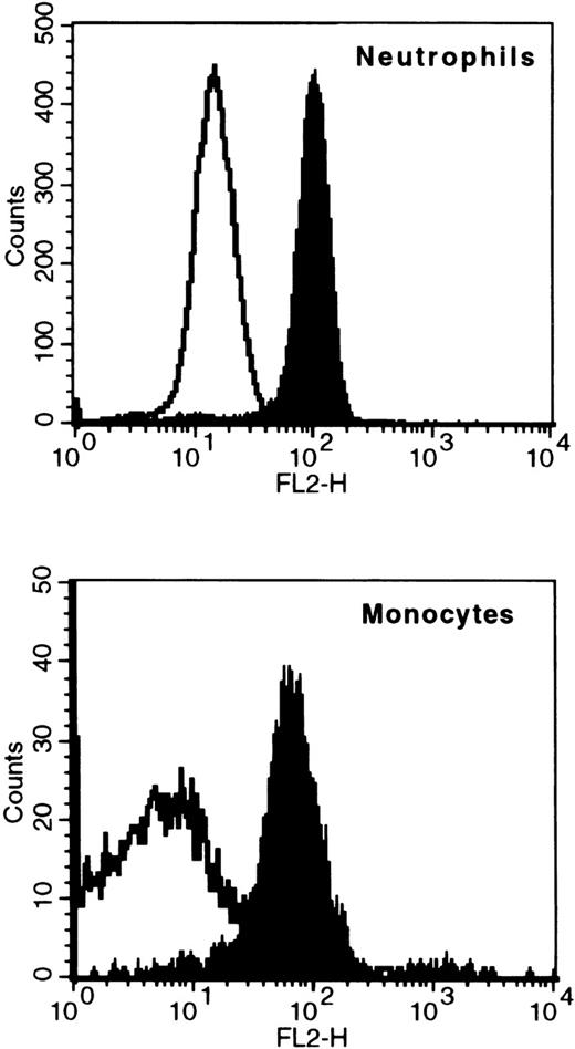 Fig. 3. Binding of G-CSF receptor antibodies to neutrophils and monocytes. / Whole blood was stained with an anti-G-CSF receptor antibody (CD114-PE, indicated by black shading) or an isotype control antibody (isotype-PE, no black shading). The populations of neutrophils or monocytes were gated by counterstaining with anti-CD14-FITC and anti-CD45-PerCP.