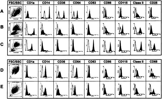 Fig. 1. Phenotypes of human monocytes and of human dendritic cells and macrophages generated in vitro. / The expression of cell surface proteins characteristic for dendritic cells (CD1a, MHC class II, CD83, CD115) and macrophages (CD14, CD36, CD64, CD68), and dendritic cell maturation (CD86, CD25) were investigated by (A) fluorescence-activated cell sorter analysis of monocytes, (B) immature dendritic cells, (C) mature dendritic cells, (D) macrophages (on day 7), and (E) monocyte-conditioned medium–treated macrophages. Cells were generated in vitro and florescence-activated cell sorter analyses performed as described in Materials and Methods. Dot plots: Forward scatter on the x-axis and side scatter on the y-axis. Histograms: Fluorescence intensity in a logarithmic scale (x-axis) was blotted against cell numbers (y-axis).