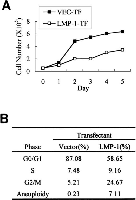 Fig. 2. Characterization of LMP-1 overexpressing IM9 cells. / (A) Slow growth rate of LMP-1 overexpressing cells. The same number (5 × 104/mL) of cells were plated in 10% FBS-DMEM media at day 0. The total cell numbers were counted at the indicated days. LMP-1 overexpressing cells show slower kinetics of cell proliferation than do vector-transfected cells. (B) Cell cycle analysis. Flow cytometric analysis was performed on asynchronously proliferating vector-transfected or LMP-1–transfected IM-9 cells.