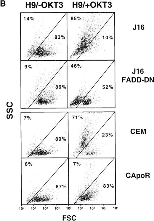 Fig. 2. Induction of functionally active CD95 ligand by doxorubicin or OKT3. / (A) Induction of apoptosis by doxorubicin-treated H9 cells in J16 or CEM target cells is inhibited in J16/FADD-DN and in CD95-resistant CEM target cells. CD3+ H9 cells were treated with 0.1 μg/mL doxorubicin for 6 hours, washed, and cocultured for 24 hours with calcein-stained J16, J16/FADD-DN, CEM, or CD95-resistant CEM (CApoR) cells. Apoptosis in calcein-stained target cells was determined by FSC/SSC analysis. (B) Induction of apoptosis by OKT3-treated H9 cells in J16 or CEM target cells is inhibited in J16/FADD-DN and in CD95-resistant CEM target cells. CD3+ H9 cells were incubated for 6 hours in 75 cm2flasks precoated with 100 μg/mL OKT3, washed, and cocultured with calcein-stained J16, J16/FADD-DN, CEM, or CD95-resistant CEM (CApoR) cells. Apoptosis in calcein-stained target cells was determined by FSC/SSC analysis. (C) Induction of apoptosis by doxorubicin or OKT3-treated H9 cells in J16 target cells is inhibited by Fab anti-CD95 antibody fragments or by anti-CD95L antibody. CD3+ H9 cells were treated for 6 hours with 0.1 μg/mL doxorubicin or were incubated for 6 hours in 75 cm2 flasks precoated with 100 μg/mL OKT3, washed, and cocultured with calcein-stained J16 cells in the presence or absence of 50 μg/mL Fab anti-CD95 antibody fragments or 100 μg/mL Nok-1 antibody. Apoptosis in calcein-stained target cells was determined by FSC/SSC analysis. (D) Lack of apoptosis by doxorubicin-treated Nalm6 cells in J16 or CEM target cells. Nalm6 cells were treated for 6 hours with 0.1 μg/mL doxorubicin, washed, and cocultured with calcein-stained J16, J16/FADD-DN, CEM, or CD95-resistant CEM (CApoR) cells. Apoptosis in calcein-stained target cells was determined by FSC/SSC analysis.