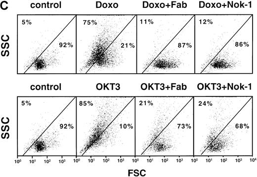 Fig. 2. Induction of functionally active CD95 ligand by doxorubicin or OKT3. / (A) Induction of apoptosis by doxorubicin-treated H9 cells in J16 or CEM target cells is inhibited in J16/FADD-DN and in CD95-resistant CEM target cells. CD3+ H9 cells were treated with 0.1 μg/mL doxorubicin for 6 hours, washed, and cocultured for 24 hours with calcein-stained J16, J16/FADD-DN, CEM, or CD95-resistant CEM (CApoR) cells. Apoptosis in calcein-stained target cells was determined by FSC/SSC analysis. (B) Induction of apoptosis by OKT3-treated H9 cells in J16 or CEM target cells is inhibited in J16/FADD-DN and in CD95-resistant CEM target cells. CD3+ H9 cells were incubated for 6 hours in 75 cm2flasks precoated with 100 μg/mL OKT3, washed, and cocultured with calcein-stained J16, J16/FADD-DN, CEM, or CD95-resistant CEM (CApoR) cells. Apoptosis in calcein-stained target cells was determined by FSC/SSC analysis. (C) Induction of apoptosis by doxorubicin or OKT3-treated H9 cells in J16 target cells is inhibited by Fab anti-CD95 antibody fragments or by anti-CD95L antibody. CD3+ H9 cells were treated for 6 hours with 0.1 μg/mL doxorubicin or were incubated for 6 hours in 75 cm2 flasks precoated with 100 μg/mL OKT3, washed, and cocultured with calcein-stained J16 cells in the presence or absence of 50 μg/mL Fab anti-CD95 antibody fragments or 100 μg/mL Nok-1 antibody. Apoptosis in calcein-stained target cells was determined by FSC/SSC analysis. (D) Lack of apoptosis by doxorubicin-treated Nalm6 cells in J16 or CEM target cells. Nalm6 cells were treated for 6 hours with 0.1 μg/mL doxorubicin, washed, and cocultured with calcein-stained J16, J16/FADD-DN, CEM, or CD95-resistant CEM (CApoR) cells. Apoptosis in calcein-stained target cells was determined by FSC/SSC analysis.