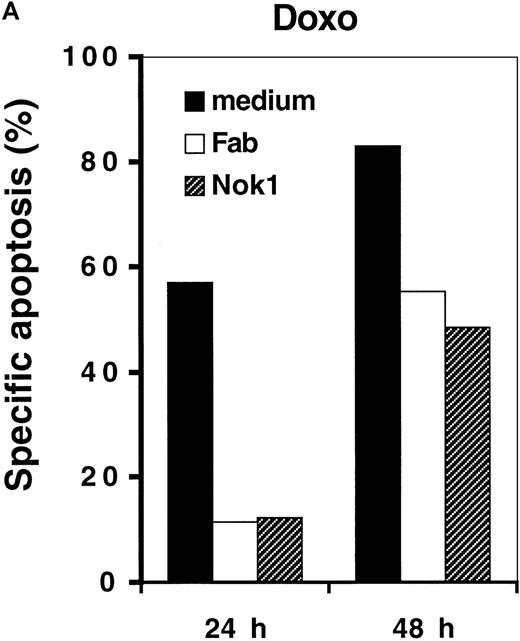 Fig. 4. Reduction of doxorubicin- or OKT3-induced apoptosis by Fab anti-CD95 antibody fragments or anti-CD95L antibody. CD3+ H9 cells were treated with 0.1 μg/mL doxorubicin (A) or CD3+ or CD3-H9 cells were incubated for 6 hours in 75 cm2 flasks precoated with 100 μg/mL OKT3 (B) for 24 hours or 48 hours in the absence (black bars) or presence (white bars) of 50 μg/mL Fab anti-CD95 antibody fragments or 100 μg/mL anti-CD95L antibody Nok-1. Apoptosis was determined as described in Figure 1.