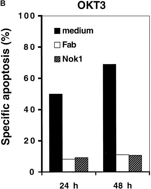 Fig. 4. Reduction of doxorubicin- or OKT3-induced apoptosis by Fab anti-CD95 antibody fragments or anti-CD95L antibody. CD3+ H9 cells were treated with 0.1 μg/mL doxorubicin (A) or CD3+ or CD3-H9 cells were incubated for 6 hours in 75 cm2 flasks precoated with 100 μg/mL OKT3 (B) for 24 hours or 48 hours in the absence (black bars) or presence (white bars) of 50 μg/mL Fab anti-CD95 antibody fragments or 100 μg/mL anti-CD95L antibody Nok-1. Apoptosis was determined as described in Figure 1.