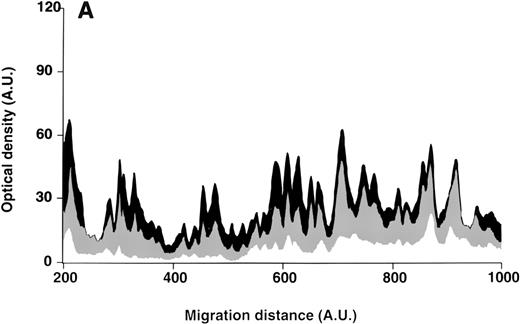 Fig. 2. Patterns of reactivity of IgG purified from plasma of patients and healthy blood donors with self-antigens. / IgG purified from plasma of patients with WAIHA and healthy blood donors was interacted at 200 μg/mL with self-antigens, as described in Materials and Methods. The figure depicts the mean densitometric profiles of reactivity of purified IgG (i.e., the arithmetic mean of the recorded intensities constituting the reactivity profile of each individual) of 20 patients with WAIHA (black area) and 20 healthy blood donors (gray area) with antigens in soluble extracts of normal RBCs (A) and normal stomach (B). White areas depict the pattern observed in the presence of secondary anti-Fcγ antibody alone. Optical densities and migration distances are expressed as arbitrary units (AU). Migration distances of 200, 600, and 1000 AU correspond to molecular weights of 200, 65, and 20 kDa, respectively.