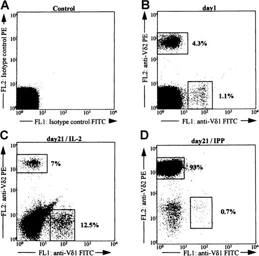 Fig. 1. FACS analysis of PBMC after stimulation with IPP. / PBMC isolated by density centrifugation (Ficoll-Hypaque) from a healthy donor were stained to detect the percentage of Vδ2+ and Vδ1+ T cells before (B) and after culture for 21 days in vitro with either IL-2 alone (C) or IL-2+IPP (D).Cells were gated for the expression of the gene product Vδ2 or Vδ1. The gates are indicated by boxes, and the numbers indicate the percentage of positive cells within the total T-cell population. Panel A shows reactivity for the isotype control antibodies. Data shown are representative of 3 separate donors.