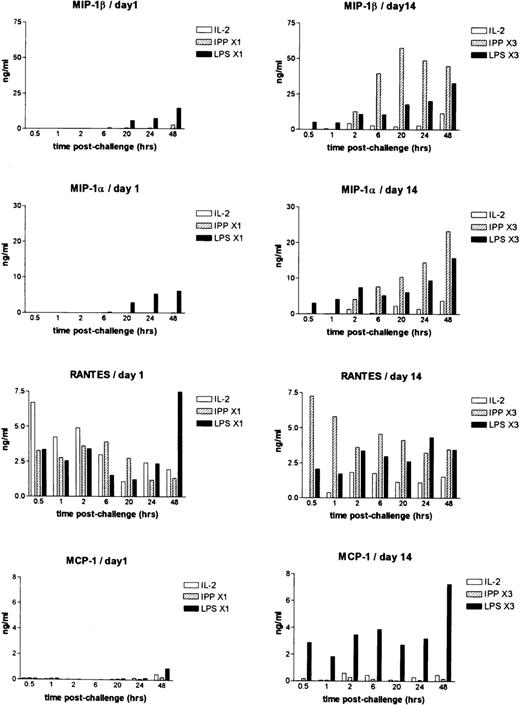 Fig. 2. Chemokine expression as determined by ELISA in PBMC cultured in vitro in IL-2 or IL-2+IPP. / PBMCs were cultured in medium IL-2 (open bars), IL-2+IPP (hatched bars), or LPS (closed bars) either once (day 1) or 3 times (day 14). Supernatants were harvested at the times shown. The presence of MIP-1α, MIP-1β, RANTES, and MCP-1 in these supernatants was determined by ELISA. Data shown are for cultures that were challenged either once (day 1) or that had been stimulated with these agents at weekly intervals (day 14).
