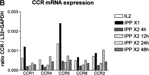 Fig. 9. Chemokine mRNA receptor analysis as determined by RPA. / (A)The samples shown in Figure 4 were also analyzed by the RPA multiprobe system for chemokine receptor expression. (B) Quantitative analysis of the data determined by phosphoimaging of the gels are shown and are expressed as a ratio of the band of interest to the sum of the housekeeping genes L32 and GAPDH. Following the second activation with IPP expression, all of the chemokine receptors were rapidly down-regulated but gradually recovered over time. Data shown are representative of 3 donors.