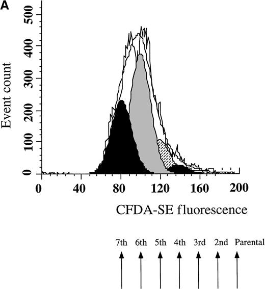 Fig. 1. Flow cytometric cell sorting. / (A) Flow cytometry identified distinct cell generations following 8-day culture (see Materials and methods for details) of fresh isolated CD34+ cells using CFDA-SE fluorescent dye and Modfit LT software (Verity Software House). Each arrow indicates a distinct cell generation or parental cells and the numbers indicate their frequency in the analyzed cells (expressed as a percentage). (B) Sorting strategy to isolate CLRPP from fresh isolated CD34+ cells cultured for 8 days. CLRPP were sorted on R1 window, setting the sorting windows on the basis of the threshold values of green fluorescence identified previously by the Modfit software for each cell generation. In the typical experiment shown in this figure, CFDA-SE-loaded cultured progenitors were costained with CD34 PerCP to document the maintenance of high levels of CD34 expression on R1 sorted CLRPP. (C) Similarly, costaining with CD105 PE shows the expression of intermediate levels of CD105 antigen on CLRPP and intermediate to high levels of CD105 expression on highly proliferating proerythroblasts (Proery).