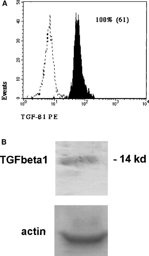 Fig. 2. Intracellular TGF-β1 in CLRPP. / (A) Flow cytometric detection of autocrine TGF-β1 in isolated CLRPP. Dotted lines represent the background fluorescence of isotypical controls; black histograms are the specific fluorescence generated by the presence of anti-TGF-β1 mAb (clone 9016.2). The numbers indicate the percentage of positive cells and in parentheses the mean fluorescence channel is indicated. Data are representative of 6 different experiments. (B) Western blot analysis of TGF-β1 protein in isolated CLRPP, showing the specific band of 14 kd.