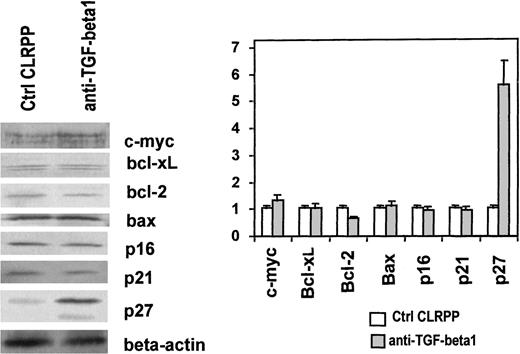 Fig. 8. Cell cycle–related protein levels. / Western blot analysis was performed for c-myc, bcl-xL, bcl-2, bax, p16, p21, and p27 protein levels in 72-hour cultured CLRPP in the presence (anti–TGF-beta1) or the absence (Ctrl CLRPP) of 10 μg/mL anti-TGF-β1 neutralizing antibody. Bar graph shows the mean ± SD relative adsorbance ratio between the protein of interest and actin observed in 4 different experiments. Parallel cultures in the presence of irrelevant isotype-matched mouse immunoglobulins showed comparable results to those observed in control CLRPP cultures. P > .05 for c-myc, bcl-xL, bax, p16, and p21 protein levels of control and study CLRPP; P < .01 for bcl-2 and P < .0001 for p27 protein levels.