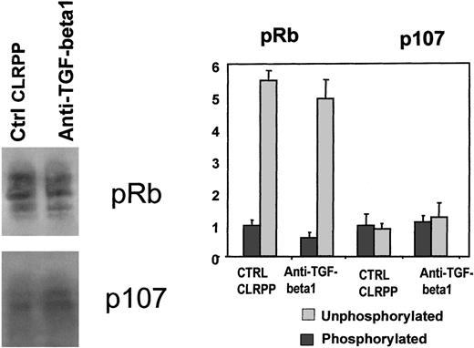 Fig. 9. Hyperphosphorylated and hypophosphorylated Rb and p107 protein levels. / Rb and p107 protein expression was assessed in 72-hour cultured CLRPP in the presence (anti-TGF-beta1) or the absence (Ctrl CLRPP) of anti-TGF-β1 neutralizing mAb (10 μg/mL). Panels represent 4 different experiments. Bar graph shows each protein level as the mean ± SD relative adsorbance ratio between the protein of interest and actin observed in 4 different experiments. P > .05 for both Rb and p107 in their hyperphosphorylated (Phosphorylated) and hypophosphorylated (Unphosphorylated) forms.