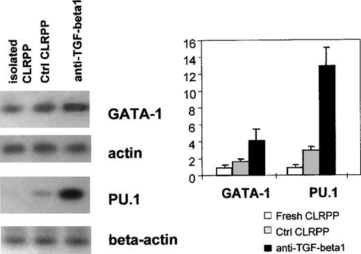 Fig. 10. Expression levels of GATA-1 and PU.1 transcription factors in CLRPP. / GATA-1 and PU.1 RNA levels were determined by RT-PCR of isolated, 72-hour cultured control (Ctrl CLRPP) and anti-TGF-β1 treated (10 μg/mL; anti-TGF-beta1) CLRPP. The RT-PCR products were separated on agarose gel, transferred to filter, and hybridized with the specific probes for GATA-1, PU.1, and β-actin. β-Actin was coamplified with the genes of interest as an internal control. Bar graph shows the RNA levels expressed as the mean ± SD adsorbance ratios between the RNA of interest and that of β-actin observed in 4 different experiments. Parallel cultures in the presence of irrelevant isotype-matched mouse immunoglobulins showed comparable results to those observed in control CLRPP cultures.P < .0001 for GATA-1 and PU.1 RNA levels of 72-hour cultured control and anti-TGF-β1–treated CLRPP.