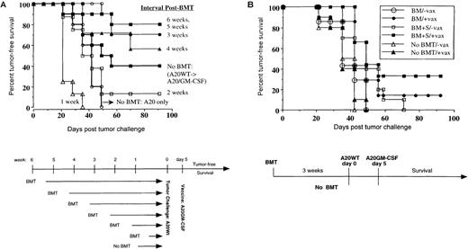Fig. 1. Posttransplant vaccination generates a more effective antitumor immune response than vaccination in the nontransplant setting. / (A) BALB/c mice underwent a syngeneic BMT from non–tumor-bearing donors consisting of 4 × 106 T-cell–depleted BM cells plus 4 × 107 splenocytes as described in “Materials and methods.” Nontransplanted mice were included for comparison. At the indicated times post-BMT, mice were challenged with A20 tumor (1 × 105 intravenously) and vaccinated 5 days later by a subcutaneous injection of irradiated A20/GM-CSF (1 × 106). Mice were followed twice a week for the presence of tumor, which was confirmed at autopsy. (B) Mice underwent syngeneic BMT with grafts consisting of 4 × 106 T-cell–depleted marrow alone or 4 × 106 T-cell–depleted marrow plus 4 × 107 splenocytes as indicated. Three weeks after transplantation, they were challenged with a 10-fold greater dose of A20 tumor (1 × 106), followed 5 days later by subcutaneous vaccination with irradiated A20/GM-CSF (1 × 106). Nontransplanted mice received the same tumor challenge and vaccination.
