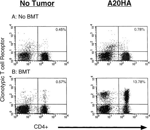 Fig. 5. Tumor-specific T cells undergo endogenous activation during immune reconstitution of the tumor-bearing transplant recipient. / BALB/c mice were challenged intravenously with 1 × 106 A20HA cells or remained tumor-free. Ten days later, half the mice were irradiated and transplanted with T-cell–depleted BALB/c marrow mixed with marrow from HA-specific TCR transgenic mice (10:1 ratio), plus splenocytes containing 1% CD4+ TCR clonotype-positive transgenic T cells. The other half received a similar number of HA-specific TCR transgenic T cells without irradiation. The animals were killed 21 days later. Nylon wool–purified splenic T cells were analyzed by 2-color flow cytometry staining for CD4 versus anti-HA TCR clonotype. Three mice were included per group. Shown are representative FACS plots from individual mice in each group.