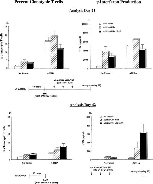 Fig. 6. Vaccination during immune reconstitution effectively sustains tumor-specific T-cell activation in tumor-bearing recipients. / BALB/c were challenged intravenously with 1 × 106A20HA cells or remained tumor-free. Ten days later, all mice were irradiated and transplanted with a graft as described in Figure 5. Mice were vaccinated with 1 × 106 irradiated A20HA/GM-CSF cells subcutaneously in the left flank on the days indicated and were killed for analysis 21 days (A and B) or 42 days (C and D) post-BMT. Three mice were included per group for each time point. (A and C) Percentage of HA-specific CD4+ TCR clonotype-positive T cells as analyzed by 2-color flow cytometry. (B and D) γ-IFN production in response to a 48-hour incubation with HA peptide, as measured by ELISA. Values are the mean + SE. Values for T cells cultured in the absence of HA peptide were below the limit of detection for the ELISA kit.