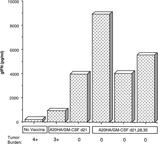 Fig. 7. Th-1 responsiveness of tumor-specific T cells directly correlates with sustained tumor remission post-BMT. / γ-IFN production in individual samples as related to tumor burden. The samples were obtained from the experiment described in Figure 6. Shown are the values for γ-IFN production in response to HA peptide from T cells obtained from individual mice in each group 42 days post-BMT. Treatment group and relative tumor burden observed at autopsy are as indicated. 0 = no tumor, 1+ = 1 to 4 nodules, 2+ = 5 to 10 nodules less than 1 cm, 3+ = more than 10 nodules or any nodule more than 1 cm, 4+ = confluent tumor + ascites.