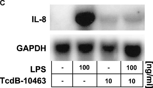 Fig. 3. Inhibition of Rho proteins blocks LPS-induced IL-8 expression by endothelial cells. / Cells were preincubated with (A) 0.1 to 10 ng/mL TcdB-10463 (inhibitor of RhoA, Cdc42, and Rac) or (B) 1 to 100 ng/mL TcdB-1470 (inhibitor of Cdc42 and Rac) for 60 minutes prior to stimulation with 100 ng/ml LPS for 8 hours. Both toxins inhibited LPS-related IL-8 production in HUVEC cultures in a dose-dependent manner. (C) Inhibition of Rho proteins by 10 ng/mL TcdB-10463 prior to stimulation of cells with 100 ng/mL LPS for 4 hours reduced LPS-dependent IL-8 mRNA accumulation, as evidenced by Northern blot. Constitutively expressed message of GAPDH was shown to confirm equal RNA loading. Data presented are mean ± SEM of 4 separate experiments. A representative autoradiograph out of 3 independent experiments (C) is shown.