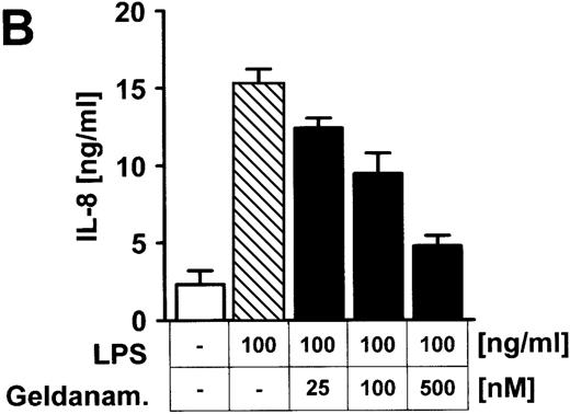 Fig. 5. Inhibition of Rho proteins blocks protein tyrosine phosphorylation in LPS-stimulated endothelial cells. / (A) Cells were preexposed to 10 ng/mL TcdB-10463 for 60 minutes as indicated and stimulated with 100 ng/mL LPS for 15 minutes. Cell lysates were obtained as described in “Materials and methods” and were subjected to Western blot analysis (7.5% SDS-PAGE). Membranes were labeled with antibodies against tyrosine-phosphorylated proteins. Note reduction of protein tyrosine phosphorylation in LPS-treated cells after inhibition of Rho proteins with TcdB-10463. (B) Endothelial cells were incubated with 25nM to 500nM geldanamycin 30 minutes prior to stimulation with 100 ng/mL LPS for 8 hours. Supernatants were subsequently analyzed by IL-8 ELISA. A representative gel (1 of 3 separate experiments) is shown in (A). Data presented in (B) are mean ± SEM of 3 separate experiments.