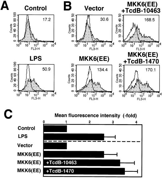 Fig. 8. IL-8 synthesis in HUVECs expressing constitutively active MKK6(Glu). / (A) HUVECs were either left untreated or incubated with 100 ng/mL LPS for 8 hours. IL-8 synthesis was measured by flow cytometry as described in “Materials and methods.” Flow cytometry profiles of 1 representative experiment are shown. Open profiles represent isotype controls; shaded profiles, cells labeled for IL-8 expression. Bold letters indicate mean fluorescence intensities. A total of 10 000 cells of each sample were analyzed. (B) HUVECs were transfected in a 1:3 ratio with pGreenLantern expressing GFPS65T and plasmids expressing either empty expression vector KRSPA or KRSPA MKK6(Glu). Cells were left untreated or treated 36 hours after transfection with 10 ng/mL TcdB-10463 or 100 ng/mL TcdB-1470 for 8 hours. Successfully transfected cells were identified by expression of GFPS65T and analyzed for IL-8 synthesis by flow cytometry as described. Flow cytometry profiles of 1 representative experiment are shown. A total of 5000 transfected cells were assessed of each sample. (C) Mean fluorescence intensities ± SD in fold of unstimulated or vector-transfected control cells of at least 2 experiments as described in (A) and (B) are shown.