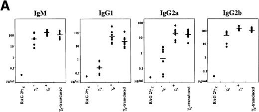 Fig. 3. B-cell responses in γc-transduced animals. / (A) Serum immunoglobulin isotype concentrations were established by enzyme-linked immunosorbent assay (ELISA) using purified immunoglobulin standards. Each dot represents 1 mouse (7 animals for each strain listed, except for RAG2/γc mice). (B) Normal T-dependent antigen immunoglobulin responses in γc-transduced animals. Following immunization with nitrophenyl-conjugated bovine serum albumin, circulating NP14-specific immunoglobulin M (IgM) and IgG antibodies were determined by ELISA for control (black square), 3 independent γc-transferred animals (open symbols), and γc- mice (-X-). Only 1 each of control and γc- mice is shown for simplicity; 3 additional mice of each genotype gave similar results.