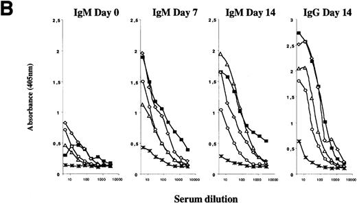 Fig. 3. B-cell responses in γc-transduced animals. / (A) Serum immunoglobulin isotype concentrations were established by enzyme-linked immunosorbent assay (ELISA) using purified immunoglobulin standards. Each dot represents 1 mouse (7 animals for each strain listed, except for RAG2/γc mice). (B) Normal T-dependent antigen immunoglobulin responses in γc-transduced animals. Following immunization with nitrophenyl-conjugated bovine serum albumin, circulating NP14-specific immunoglobulin M (IgM) and IgG antibodies were determined by ELISA for control (black square), 3 independent γc-transferred animals (open symbols), and γc- mice (-X-). Only 1 each of control and γc- mice is shown for simplicity; 3 additional mice of each genotype gave similar results.