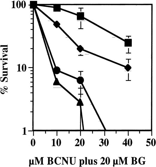 Fig. 1. BG and BCNU resistance in transduced CFU. / After transduction, bone marrow was mixed with untransduced cells at final ratios of 1:4 and 1:20. The cells were treated with 20 μmol/L BG and 0 to 40 μmol/L BCNU then plated in methylcellulose, and CFU growth was scored. Error bars represent mean ± SD. ▪, ΔMGMT transduced; ⧫, 25% ΔMGMT transduced; •, 5% ΔMGMT transduced; ▴, untransduced.