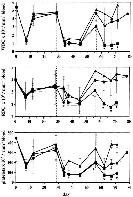 Fig. 5. Infusion of ▵MGMT-transduced cells protects mice from cumulative myelosuppression. / Blood counts from BG- and BCNU-treated mice were monitored for 70 to 80 days. The first treatment (dashed line) was performed 3 weeks after the infusion of bone marrow cells, and subsequent treatments were administered every 4 weeks. Each value represents the mean of 3 mice, except *, which was obtained from 1 surviving normal mouse. Error bars represent SD of mean. ▴, 100 × 104 cohort; •, 25 × 104 cohort; ▪, normal mice.