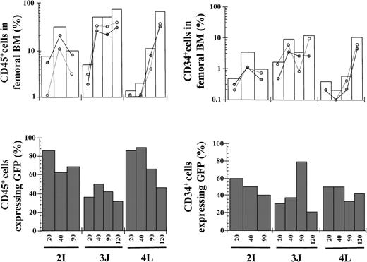 Fig. 2. Kinetics of engraftment of transduced purified EGFP+ cells in NOD/SCID mice. / Transduced cord blood samples underwent cell sorting, and cells positive for EGFP expression were transplanted into NOD/SCID mice. Symbols are as in Figure 1. The phenotypic characteristics of the different grafts and data corresponding to 120 days after transplantation are shown in Table 3.