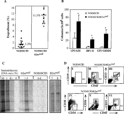 Fig. 1. Higher levels of human cell engraftment in NOD/SCID/B2mnull mice. / (A) Summary of engraftment levels in mice transplanted with enriched cord blood CD34+ cells. Similar percentage of human engraftment was detected by either Southern blot with human-specific α satellite probe (open circles) or by flow cytometry using human-specific anti CD45 mAb (filled circles). NOD/SCID mice were transplanted with 8 × 104 cells per mouse and NOD/SCID/B2mnull mice with 4 × 104 cells per mouse, in 5 independent experiments. (B) Bone marrow cells of mice presented in A were assayed for colony formation in semisolid culture selective for the growth of human colonies. Data shown are mean ± SE of 5 experiments. (C) Human DNA in the bone marrow of primary NOD/SCID/B2mnullmice transplanted with 103 CD34+ cells (lanes 1-3) and NOD/SCID mice transplanted with 104CD34+ cells (lanes 4-6). Secondary NOD/SCID/B2mnull recipients were transplanted with 2 to 5 × 103 human CD34+ cells that were recovered from engrafted primary NOD/SCID mice (lanes 7, 8). (D) NOD/SCID mice were transplanted with 12.5 × 104cord blood MNC per mouse (DI) and NOD/SCID/B2mnull mice with 8 × 104or 5 × 104 cord blood MNC per mouse (DII and DVI, respectively). Bone marrow cells from transplanted mice were analyzed 1 month later for the presence of human CD45+cells (R2). Human lineage-specific mAb were used to detect lymphoid CD45+CD19+ (DII, DVI, R1), myeloid CD45+CD33+ (DIII), and immature CD34+CD38−/low (DIV) progenitor cells in the marrow of engrafted NOD/SCID/B2mnull mice. Lymphoid CD45+CD56+ NK cell differentiation was induced in vitro before analysis (DV). A representative mouse out of 9 in 3 different experiments is shown.