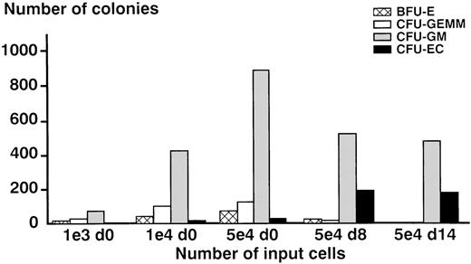 Fig. 4. Comparison of the clonogenic potential of freshly isolated AC133+ cells (day 0 cells) and AC133-derived proliferating cells cultured for 8 days (day 8 cells) and 14 days (day 14 cells), respectively, in liquid culture with stem cell growth factor (SCGF) and vascular endothelial growth factor (VEGF). / As demonstrated in the 3 left panels of bars, a different number of day 0 input cells were tested to evaluate their capacity to form endothelial colonies (colony-forming unit endothelial cell, CFU-EC). The input of 5 × 104 AC133+ progenitor cells was found to produce reliable numbers of putative CFU-EC and was then compared with the input of 5 × 104 day 8 cells and day 14 cells, respectively. The results of 4 independent experiments are shown, each experiment was performed in quadruplicate. Abbreviations: d0 = day 0 cells, freshly isolated AC133+progenitor cells; d8 = day 8 cells, AC133-derived cells cultured for 8 days in liquid culture; d14 = day 14 cells, AC133-derived cells cultured for 14 days in liquid culture; BFU-E = burst-forming unit erythrocyte; CFU-GEMM, colony-forming unit granulocyte-erythrocyte-macrophage-megakaryocyte; CFU-GM = colony-forming unit granulocyte-macrophage.