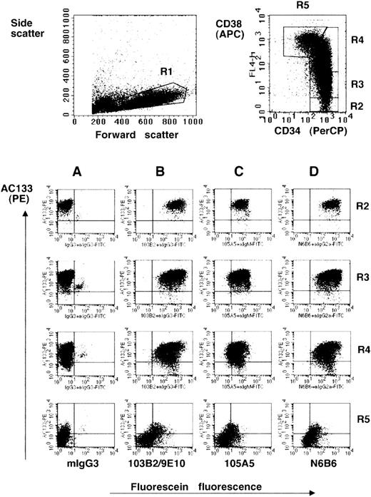 Fig. 3. CD164 epitopes are more highly expressed on the AC133hiCD34hiCD38lo/− fetal liver cell subset. / Dot plots show MACS-selected CD34+ cells isolated from fetal liver labeled with CD34-PerCP, CD38-APC, AC133-PE, the CD164 Mabs 103B2/9E10 (B), 105A5 (C), and N6B6 (D) or isotype negative-control Mabs mIgG3 (A), mIgM, or mIgG2a, plus FITC-conjugated anti-isotype secondary antibodies. Isotype matched negative-control mIgG1-PE, mIgG1-APC, and mIgG1-PerCP were used in place of AC133-PE, CD38-APC, and CD34-PerCP (not shown). CD34-PerCP–positive cells with intermediate to high forward scatter and low side angle scatter characteristics (fraction R1) were analyzed on a FACSCalibur and gated on the basis of the relative expression of CD34 and CD38 (fractions R2, R3, R4, R5). These fractions were then analyzed for the expression of AC133 and the CD164 epitopes (Table 1).
