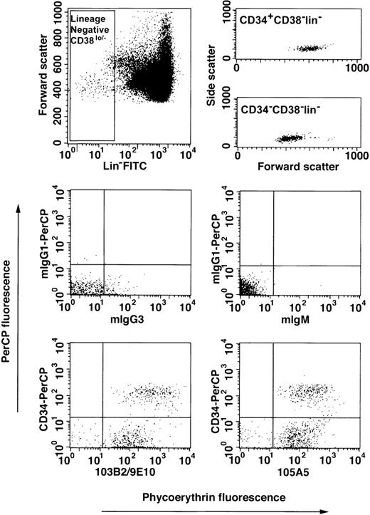 Fig. 4. Expression of CD164 epitopes on Lin−CD34lo/−CD38lo/− cord blood cells. / Mononuclear cells from pools of up to 3 cord blood samples were collected, subjected to erythrocyte lysis, and Fc receptors blocked as described in “Materials and methods.” Cells were labeled with a lineage-negative cocktail of the following FITC-conjugated Mabs: CD2, CD3, CD4, CD8, CD14, CD16, CD19, CD41, CD56, CD66abce, anti-glycophorin A, with CD38-FITC, with CD34-PerCP or mIgG1-PerCP, and with the 103B2/9E10, 105A5, or isotype-matched irrelevant-control Mabs, mIgG3 or mIgM, prior to counterstaining with PE-conjugated anti-isotype–specific secondary antibodies. Cells were gated on low side scatter, low to high forward scatter, and lineage-negative CD38lo/−(Lin−CD38lo/−) fluorescein gates (upper left dot plot) according to Bhatia et al.29 The CD34-PerCP and CD164 epitope/PE-conjugated anti-mIgG3 or mIgM fluorescence was determined against mIgG1-PerCP and mIgG3 or mIgM/PE-conjugated anti-mIgG3 or mIgM-matched controls. Cells were analyzed on a FACSCalibur and 400 × 103to 500 × 103 events stored as listmode data files per sample. The upper right dot plots show the forward and side scatter distribution of Lin−CD38lo/− cells after CD34+ or CD34− cell gating. The lower dot plots demonstrate the staining of Lin−CD38lo/− cells labeled with isotype-matched control Mabs or with CD164 and CD34 Mabs. The median fluorescence intensity values for mIgG3- and mIgM-labeled Lin−CD34lo/−CD38lo/−cells were 3 ± 1 and 2 ± 1, respectively, and Lin−CD34+CD38lo/− cells were 1 ± 2 and 2 ± 1, respectively.