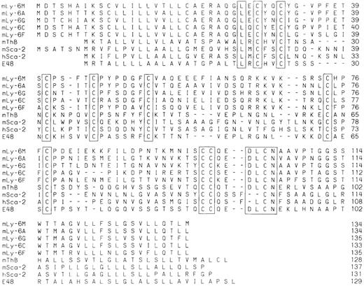 Fig. 6. Peptide alignment of Ly-6 sequences. / The amino acid sequence of Ly-6M is shown aligned with the other known murine and human Ly-6 sequences. Alignment was performed by the Clustal method.41 The boxes enclose conserved cysteine residues as well as the putative amino terminal (L-X-C) and carboxy terminal (D-L-C-N) motifs of the mature peptides.