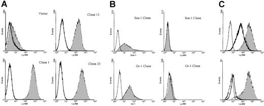 Fig. 8. Characterization of anti–Ly-6M antisera. / (A) Stable K562 clones expressing either empty vector or the full-length Ly-6M cDNA (clones 1, 15, 25) were stained with control IgG (empty histograms) or anti–Ly-6M antisera (filled histograms). The antisera recognize a range of surface Ly-6M protein expression. (B) Stable K562 clones transfected with either the Ly-6A (upper plots) or Ly-6G (lower plots) cDNAs were obtained. On the left, transgene expression is demonstrated by staining with the indicated monoclonal antibodies (filled histograms) compared with isotype controls (empty histograms). On the right, no cross-reactive staining is noted when these same clones were analyzed using anti–Ly-6M antisera (filled histograms). (C, upper plot) A stable Ly-6M K562 clone was stained with control IgG (solid line) or anti–Ly-6M antisera (filled histogram). The GPI linkage of Ly-6M is demonstrated by a shift in fluorescence to the left when anti–Ly-6M staining was preceded by PI-PLC treatment (heavy line). (Lower plot) A stable Ly-6M K562 clone was stained with control IgG (solid line) or anti–Ly-6M antisera (filled histogram). The specificity of the antisera is demonstrated by a reduction in signal when anti–Ly-6M staining was preceded by preincubation with recombinant Ly-6M protein (heavy line).