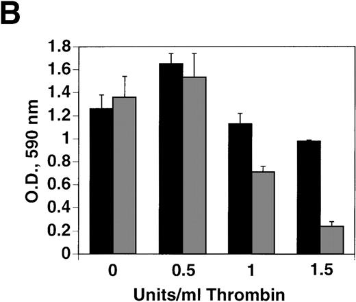 Fig. 7. Increased sensitivity of PAR-1–transfected HCT8 tumor cells to thrombin-induced impaired cell growth. / (A) Immunoblot of PAR-1 transfected cells with PAR-1–tagged anti-FLAG antibody. Lane 1, wild-type cells; lane 2, empty plasmid-transfected cells; lane 3, wild-type PAR-1 cells. (B) Wild-type PAR-1 transfectants were incubated with various concentrations of thrombin for 2 days. Control bars (black) depict empty vector transfection, whereas gray bars depict PAR-1 transfection. SEM is given for experiments performed in quadruplicate.