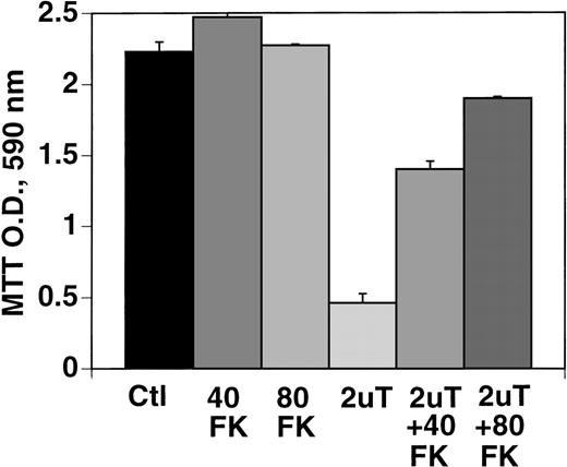 Fig. 10. Effect of caspase inhibitor, FK-011 on thrombin-induced apoptosis. / B16F10 cells were prepared as in Figure 1 and incubated in the absence of FK (bar 1), 40 μmol/L FK (bar 2), 80 μmol/L FK (bar 3), 2 U/mL thrombin (bar 4), thrombin + 40 μmol/L FK (bar 5), or thrombin + 80 μmol/L FK (bar 6). SEM is given for 3 clones.