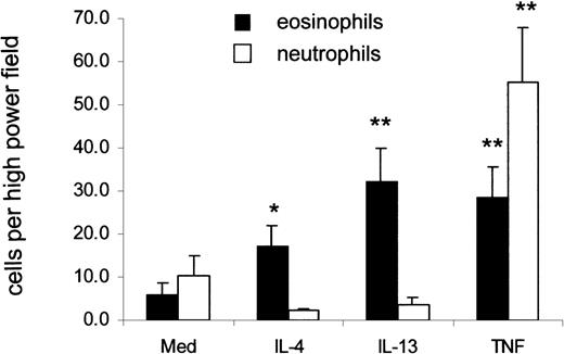 Fig. 6. Eosinophils but not neutrophils adhere to IL-4– and IL-13–stimulated HUVEC under flow. / Eosinophil and neutrophil binding to cytokine-stimulated HUVEC under flow conditions were studied as described in “Materials and methods.” Leukocytes were allowed to bind to the endothelial cells at flow rates of 1.5 dynes/cm2 for 2 minutes, and the average number of cells bound per high-power field from 10 fields taken at random were counted. *P < .05 and **P < .01 compared to medium control; n = 4-10.