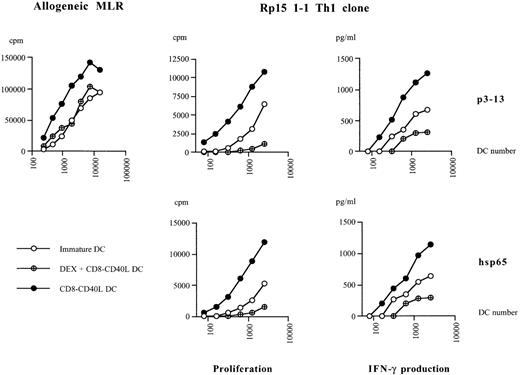 Fig. 5. Pretreatment with DEX impairs the T-cell stimulatory capacities of DCs activated via CD40. / Allogeneic mixed lymphocyte reaction: nonadherent allogeneic peripheral blood mononuclear cells were cultured with different numbers of CD40-triggered DCs, DEX-treated CD40-triggered DCs, or immature DCs. The proliferative response was measured on day 5. Th1 stimulation assays: Hsp65-specific T cells were cultured with different numbers of HLA-DR matched CD40-triggered DCs or with DEX-treated CD40-triggered DCs, or with immature DCs, pulsed with the hsp65 protein or with the specific p3-13 peptide epitope. The proliferative response and the T-cell dependent IFN-γ production were analyzed on day 3. Data are representative of 3 independent experiments.