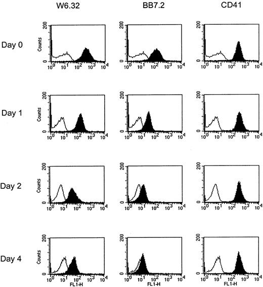 Fig. 2. Platelet HLA surface expression decreases with time after incubation at 37°C. / Platelets were incubated at 37°C in citrate buffer pH 6.2, for the indicated times, stained for expression of HLA (W6/32 and BB7.2 MoAbs) or CD41, and analyzed by cytometry. Background fluorescence is shown in white, staining with MoAbs in black.