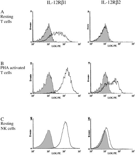 Fig. 2. Expression of IL-12Rβ1 and IL-12Rβ2 on T cells and NK cells. / Cell surface IL-12Rβ1 and IL-12Rβ2 was measured by flow cytometry on purified resting T cells (A), PHA-activated T cells (B), or purified resting NK cells (C). The shaded area represents the isotype negative control.