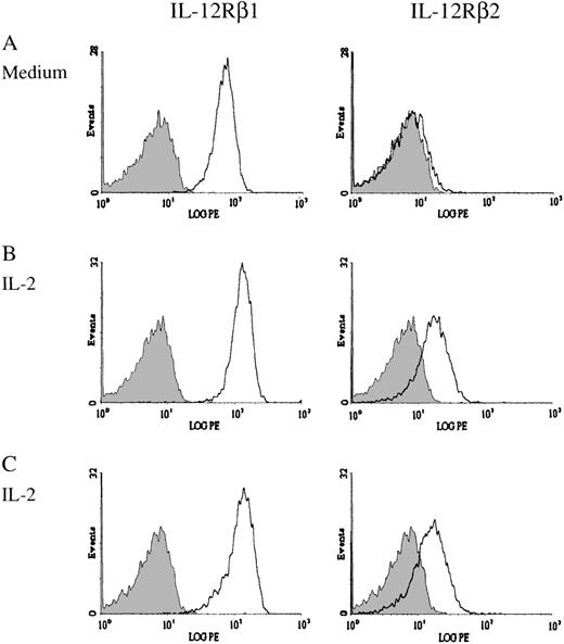 Fig. 3. Expression of IL-12Rβ1 and IL-12Rβ2 on cytokine-primed NK cells. / Purified NK cells were incubated for 3 days in the absence or presence of IL-2. Expression of IL-12 receptor chains was then determined by flow cytometry. Representative histograms demonstrate the expression of IL-12Rβ1 and IL-12Rβ2 on NK cells cultured without IL-2 (A) or with IL-2 (B). In (C), NK cells cultured with IL-2 were incubated with IL-12 before antibody labeling. The shaded area represents the isotype negative control.