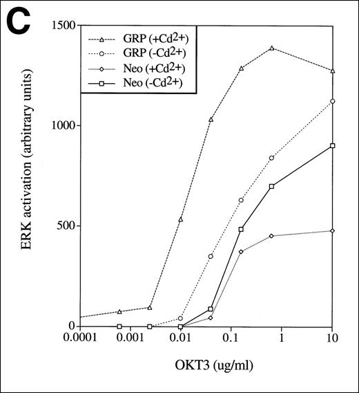 Fig. 4. TCR-Ras-Erk signaling and agonist-induced IL-2 secretion in Jurkat T cells overexpressing RasGRP. / (A) Jurkat cells transformed with either the empty vector pBMGNeo (Neo) or the same vector containing full-length human RasGRP (GRP) were induced with 5.0 μmol/L CdCl2 for 24 hours, as indicated, then examined for RasGRP expression by immunoblotting using the H176 antibody. (B) Cells expressing BMGNeo or RasGRP were induced with CdCl2 for 24 hours then stimulated with either 50 ng/mL PMA for 10 minutes or 0.156 μg/mL OKT3 for various periods. Cells were then harvested, lysed, and assayed for Ras-GTP, phospho-Erk and total Erk. (C) Cells from the same cultures as in (A) were stimulated with various concentrations of OKT3 for 15 minutes at 37°C and then directly lysed in SDS sample buffer. The lysates were then probed for phospho-Erk. The bands representing phospho-Erk were quantified by densitometry and plotted versus the concentration of OKT3. Samples were also probed with an anti-Erk antibody to verify that similar amounts of total Erk protein were present (data not shown). (D) Cells were induced with CdCl2 as indicated for 24 hours then stimulated for 48 hours with the calcium ionophore A23187 (A, 0.5 μmol/L) and either PMA (24 nmol/L) or bryostatin-1 (Bryo, 10 nmol/L). IL-2 in the medium was then measured. Values are the average of quadruplicate samples, with the standard error of the mean indicated.