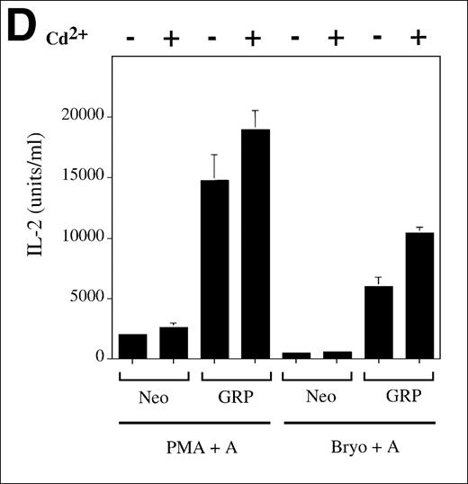 Fig. 4. TCR-Ras-Erk signaling and agonist-induced IL-2 secretion in Jurkat T cells overexpressing RasGRP. / (A) Jurkat cells transformed with either the empty vector pBMGNeo (Neo) or the same vector containing full-length human RasGRP (GRP) were induced with 5.0 μmol/L CdCl2 for 24 hours, as indicated, then examined for RasGRP expression by immunoblotting using the H176 antibody. (B) Cells expressing BMGNeo or RasGRP were induced with CdCl2 for 24 hours then stimulated with either 50 ng/mL PMA for 10 minutes or 0.156 μg/mL OKT3 for various periods. Cells were then harvested, lysed, and assayed for Ras-GTP, phospho-Erk and total Erk. (C) Cells from the same cultures as in (A) were stimulated with various concentrations of OKT3 for 15 minutes at 37°C and then directly lysed in SDS sample buffer. The lysates were then probed for phospho-Erk. The bands representing phospho-Erk were quantified by densitometry and plotted versus the concentration of OKT3. Samples were also probed with an anti-Erk antibody to verify that similar amounts of total Erk protein were present (data not shown). (D) Cells were induced with CdCl2 as indicated for 24 hours then stimulated for 48 hours with the calcium ionophore A23187 (A, 0.5 μmol/L) and either PMA (24 nmol/L) or bryostatin-1 (Bryo, 10 nmol/L). IL-2 in the medium was then measured. Values are the average of quadruplicate samples, with the standard error of the mean indicated.