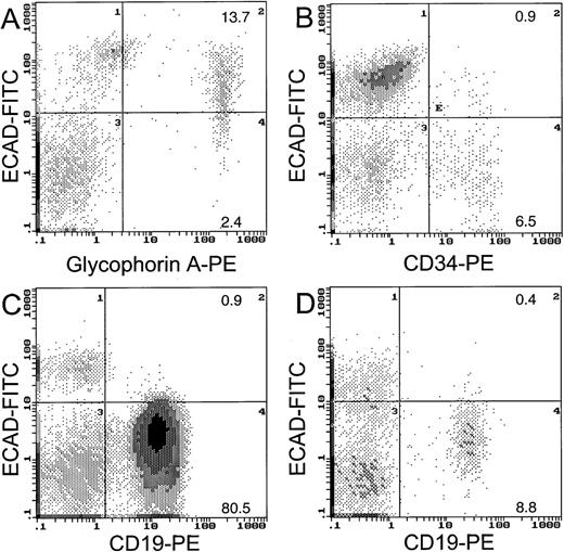 Fig. 2. Two-color FACS analysis for E-cadherin cell surface protein. / Coexpression of E-cadherin is shown for glycophorin A cells from normal bone marrow (A), CD34 cells from normal bone marrow (B), CD19 cells from CLL blood (C), and CD19 cells from normal blood (D).