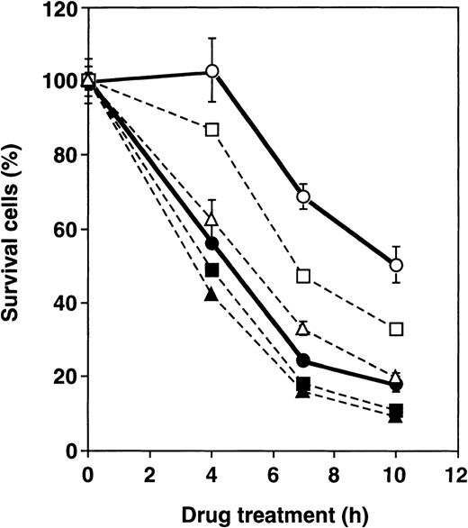 Fig. 3. Effect of BBGC on sensitivity of U937 and UK711 cells to VP-16. / U937 (closed) and UK711 (open) cells were treated with 15 μmol/L of VP-16 combined with 0 (circle), 5 (squares), and 15 (triangles) μmol/L BBGC for the indicated periods. Cellular viability was determined by the MTS method. The means ± SD of triplicate cultures are shown.
