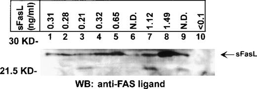 Fig. 2. Detection of Fas ligand in serum from patients by Western blot analysis. / Serum samples from 9 patients with LGL leukemia (lanes 1-9) and 1 healthy donor (lane 10) were fractionated by sodium dodecyl sulfate–polyacrylamide gel electrophoresis and subjected to Western immunoblotting with an anti-Fas ligand antibody that recognizes the soluble form of Fas ligand. Arrow indicates the position of the 26-kd soluble Fas ligand protein. The levels of soluble Fas ligand in the serum determined by ELISA are shown in the upper panel. Each blot is representative of 3 experiments.
